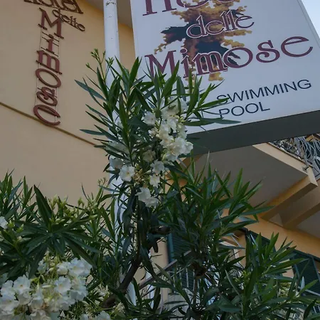 Delle Mimose 3*