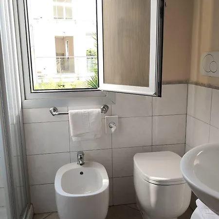 Отель Delle Mimose 3*