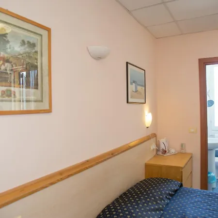 Delle Mimose Hotel