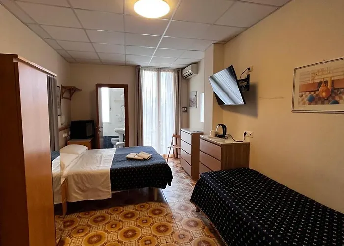 Delle Mimose Hotel 3*