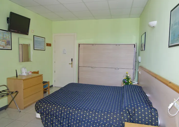 Delle Mimose Hotel 3*