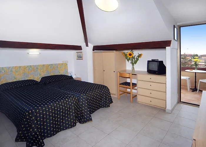 Delle Mimose Hotel 3*