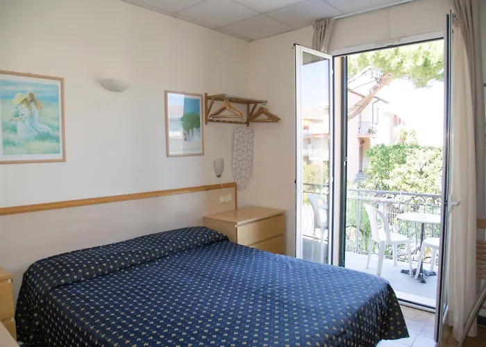 Delle Mimose Hotel 3*